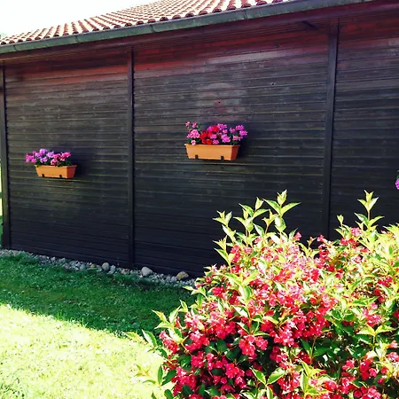 & Restaurant Zur Spreewaelderin Hotel