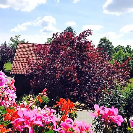 & Restaurant Zur Spreewaelderin Hotel 3*