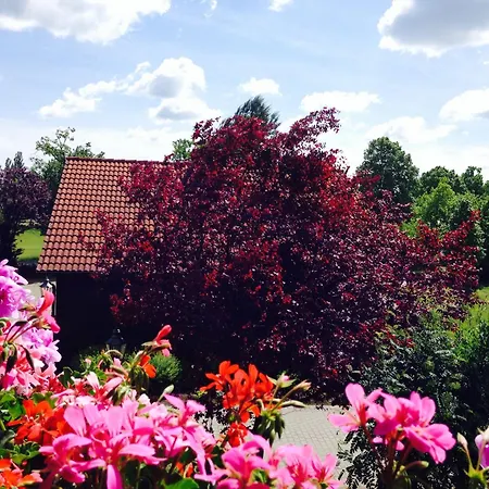 & Restaurant Zur Spreewaelderin Hotel Golßen