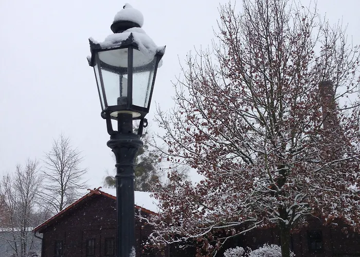 & Restaurant Zur Spreewaelderin Hotel 3*